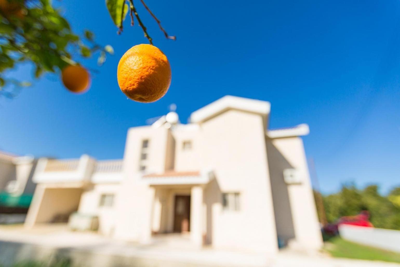 Villa Clementina Kato Yialia Exterior foto